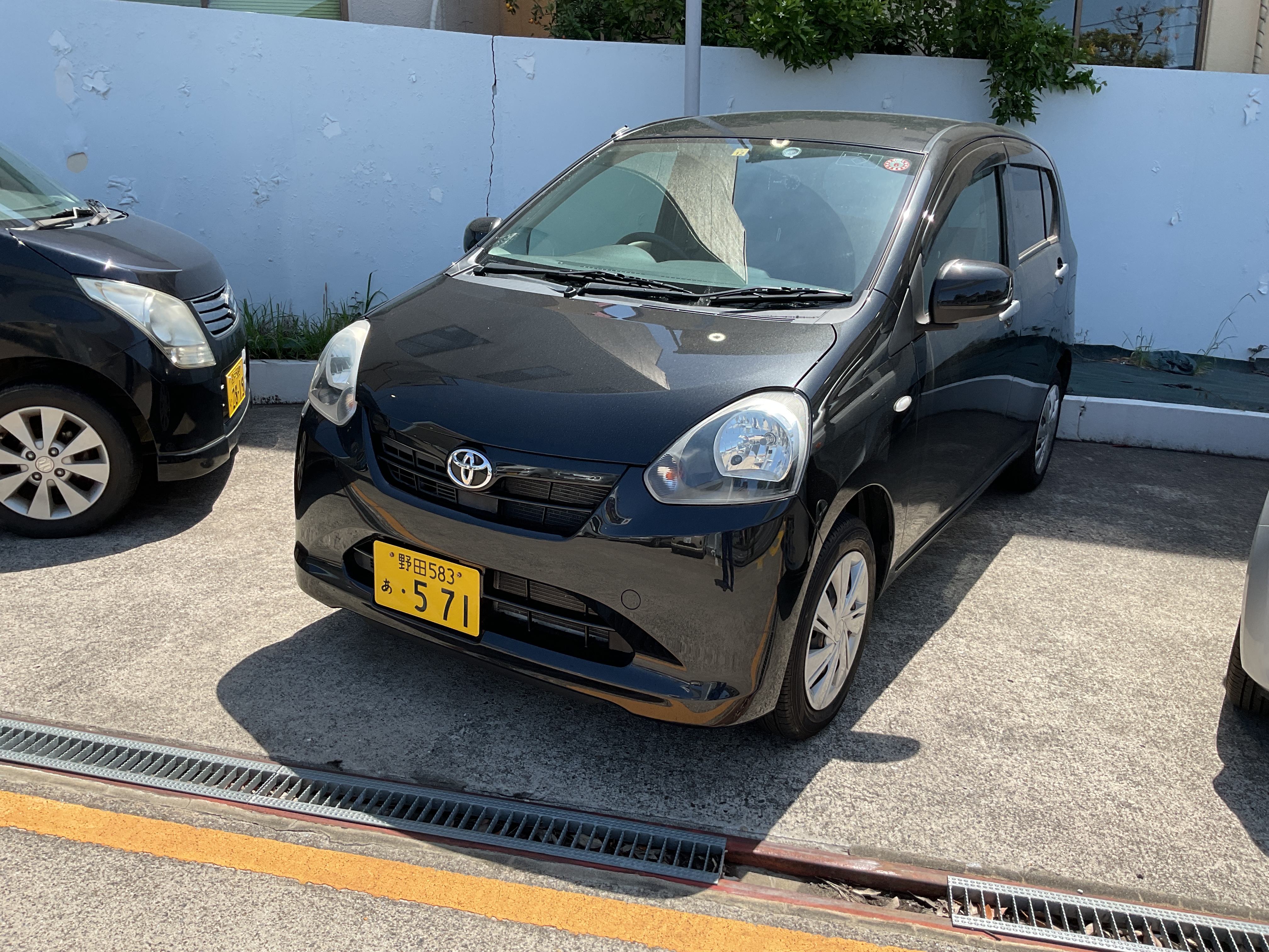 ﾋﾟｸｼｽ